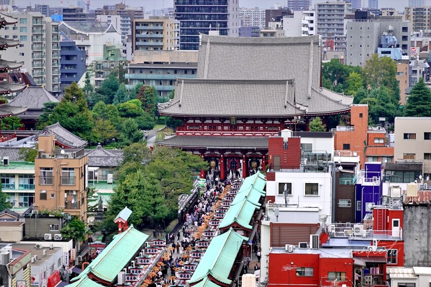 日本【東京】京成電鐵 Skyliner 快速直達東京都，漫步淺草小旅行