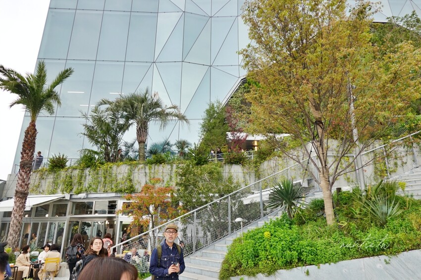 日本【原宿】東京新開幕｜東急廣場表參道 HARAKADO，空中花園俯瞰明治通