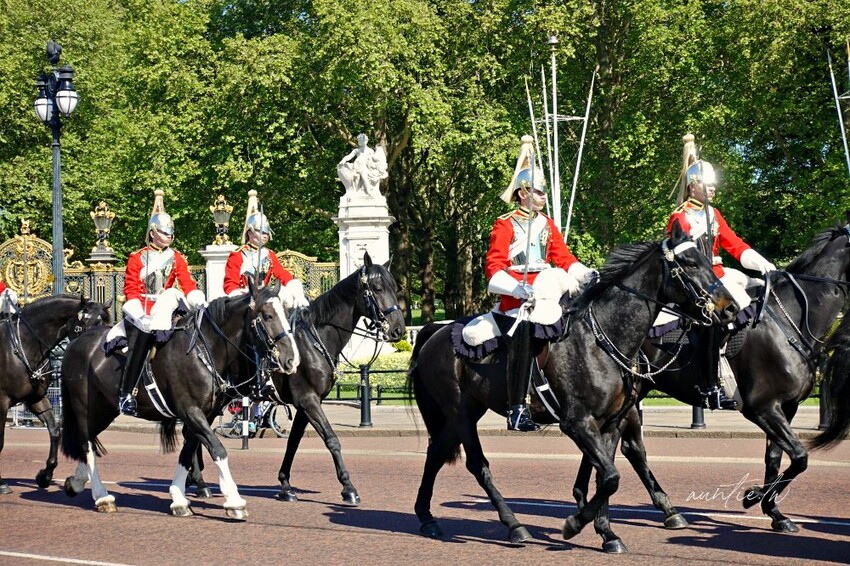 英國【倫敦旅遊】Go City 通票,省錢時又省力,真正一票到底景點免費暢遊!