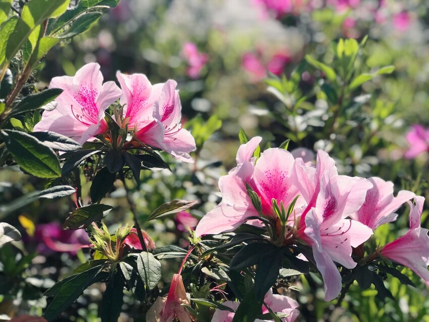 至善公園。和江街兒童設施公園。和江街至善公園。近台大竹東分院