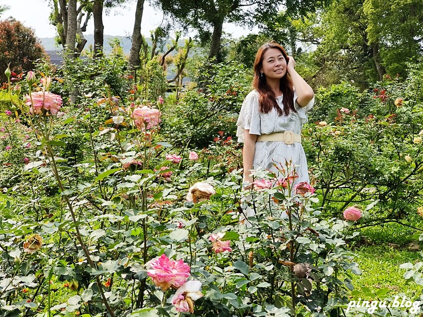 苗栗縣三義鄉苗栗雅聞香草植物工廠｜ 苗栗免費景點 夢幻玫瑰莊園 彷彿走入童話世界