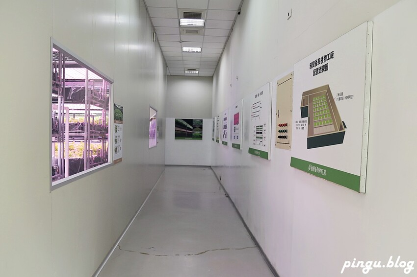 苗栗縣三義鄉苗栗雅聞香草植物工廠｜ 苗栗免費景點 夢幻玫瑰莊園 彷彿走入童話世界