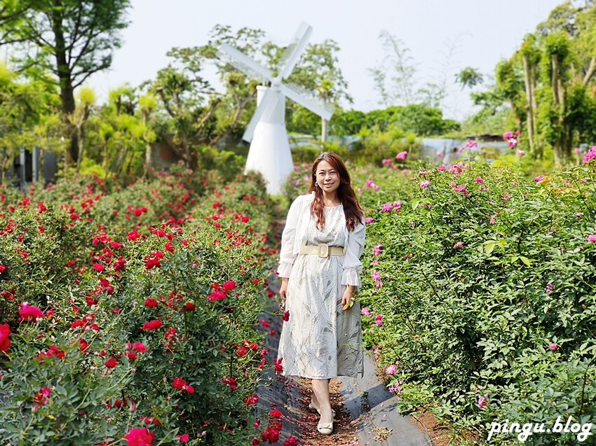 苗栗縣三義鄉苗栗雅聞香草植物工廠｜ 苗栗免費景點 夢幻玫瑰莊園 彷彿走入童話世界