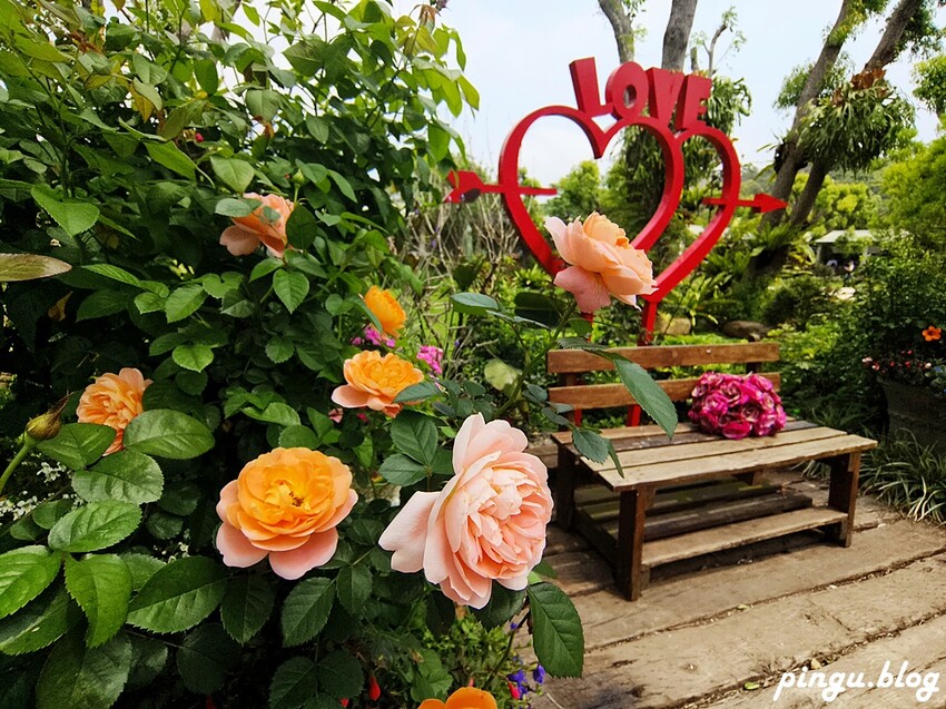 苗栗縣三義鄉苗栗雅聞香草植物工廠｜ 苗栗免費景點 夢幻玫瑰莊園 彷彿走入童話世界