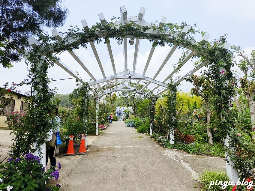 苗栗縣三義鄉苗栗雅聞香草植物工廠｜ 苗栗免費景點 夢幻玫瑰莊園 彷彿走入童話世界