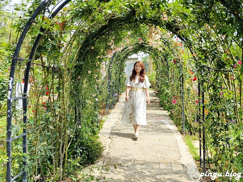 苗栗縣三義鄉苗栗雅聞香草植物工廠｜ 苗栗免費景點 夢幻玫瑰莊園 彷彿走入童話世界