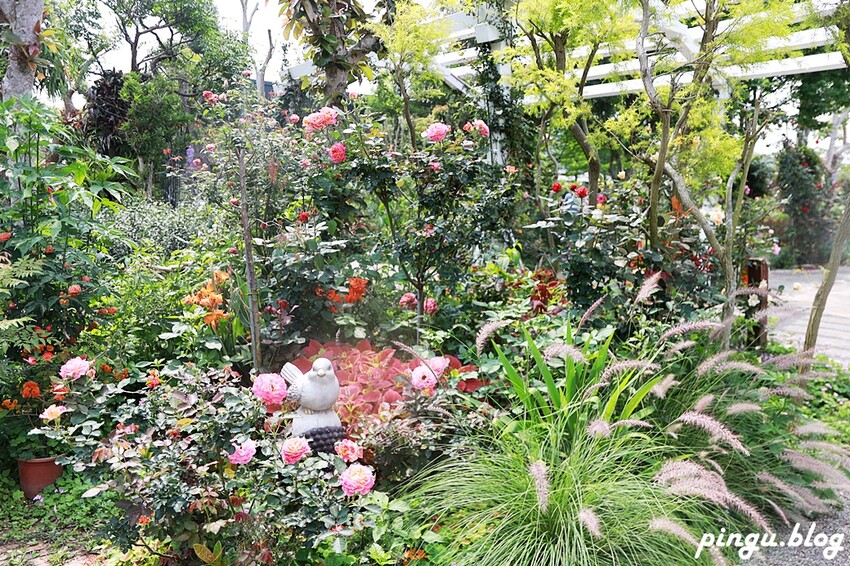 苗栗縣三義鄉苗栗雅聞香草植物工廠｜ 苗栗免費景點 夢幻玫瑰莊園 彷彿走入童話世界