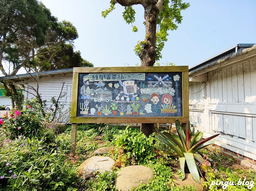苗栗縣三義鄉苗栗雅聞香草植物工廠｜ 苗栗免費景點 夢幻玫瑰莊園 彷彿走入童話世界