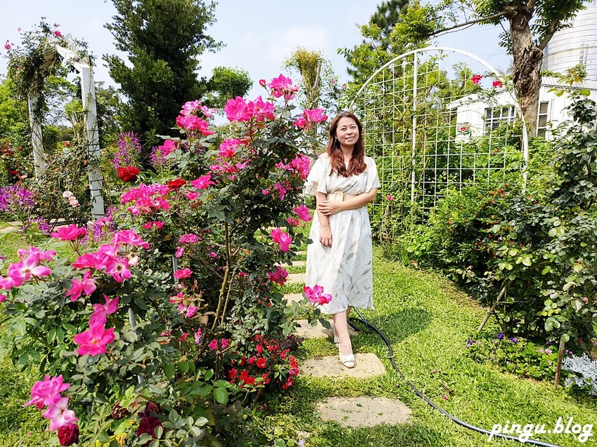 苗栗縣三義鄉苗栗雅聞香草植物工廠｜ 苗栗免費景點 夢幻玫瑰莊園 彷彿走入童話世界