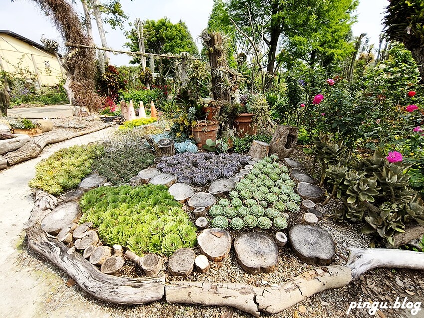 苗栗縣三義鄉苗栗雅聞香草植物工廠｜ 苗栗免費景點 夢幻玫瑰莊園 彷彿走入童話世界