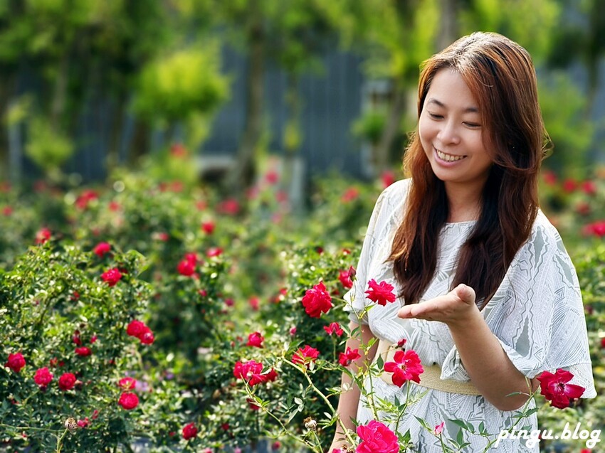 苗栗縣三義鄉苗栗雅聞香草植物工廠｜ 苗栗免費景點 夢幻玫瑰莊園 彷彿走入童話世界
