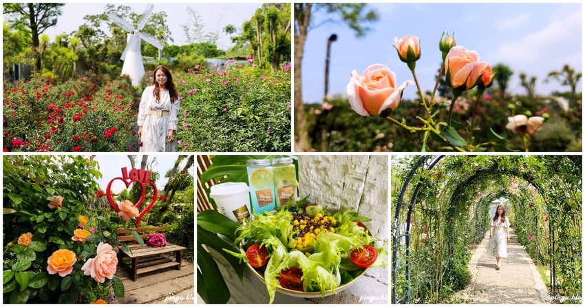 苗栗縣三義鄉苗栗雅聞香草植物工廠｜ 苗栗免費景點 夢幻玫瑰莊園 彷彿走入童話世界