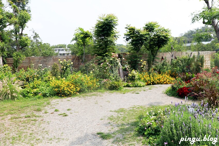 苗栗縣三義鄉苗栗雅聞香草植物工廠｜ 苗栗免費景點 夢幻玫瑰莊園 彷彿走入童話世界
