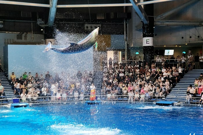澳門楊枝金撈甜品菜單 至尊楊枝金撈絕對是澳門必吃甜點