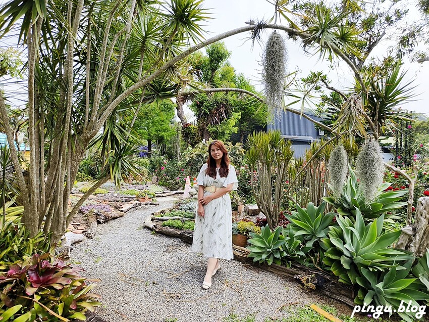 苗栗縣三義鄉苗栗雅聞香草植物工廠｜ 苗栗免費景點 夢幻玫瑰莊園 彷彿走入童話世界