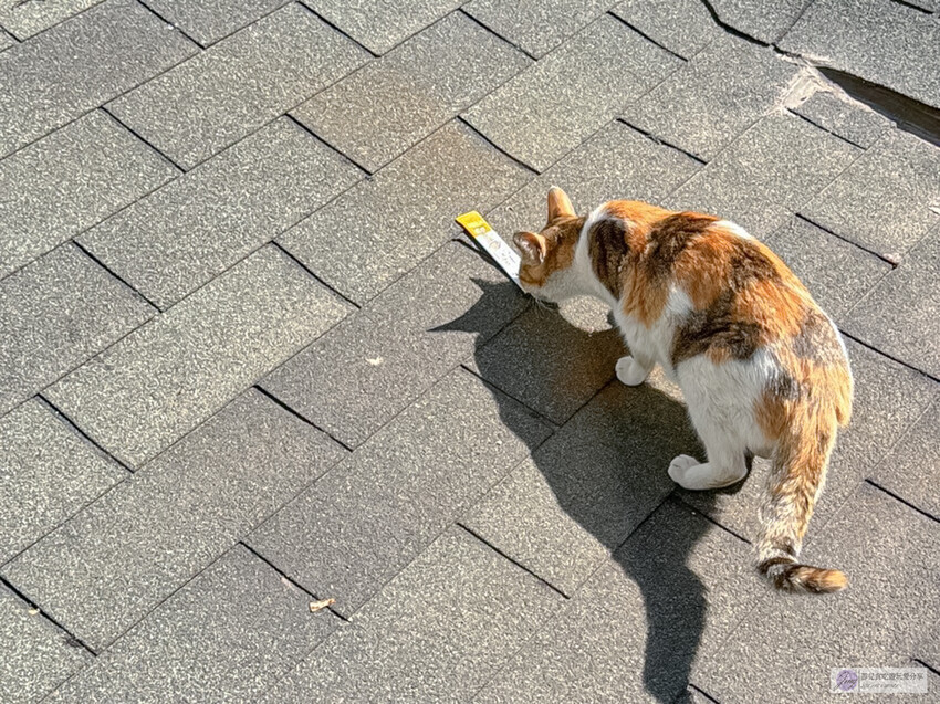 韓國首爾美食-Quiche Mignon