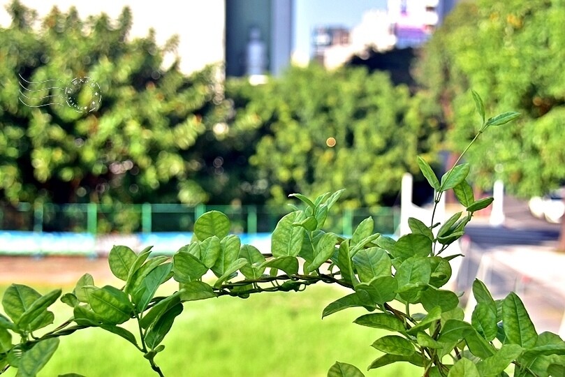 榕錦時光生活園區