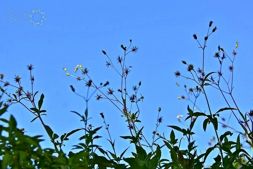 榕錦時光生活園區