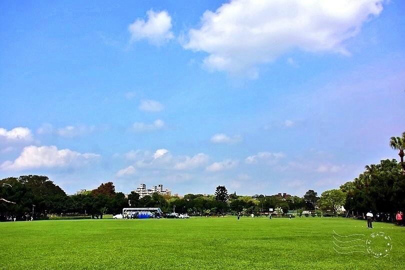 桃園市龍潭區【石管局大草坪流蘇花】：爽朗春日，清清四月雪