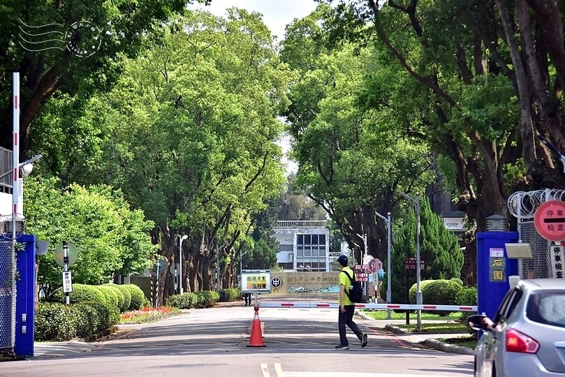 桃園市龍潭區【石管局大草坪流蘇花】：爽朗春日，清清四月雪