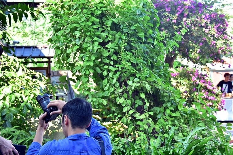 榕錦時光生活園區