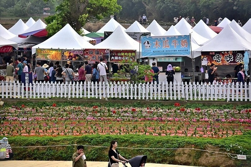 2024桃園彩色海芋季