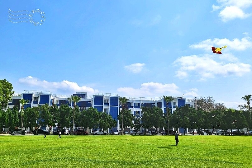 桃園市龍潭區【石管局大草坪流蘇花】：爽朗春日，清清四月雪