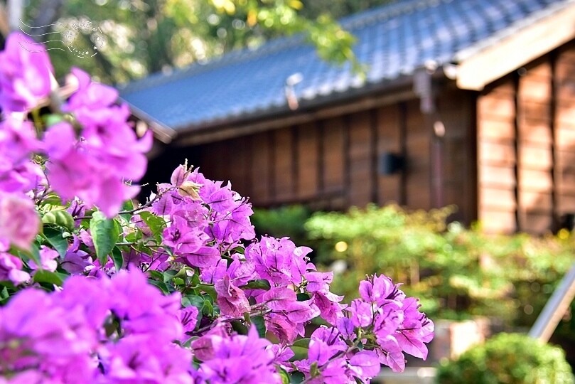 榕錦時光生活園區