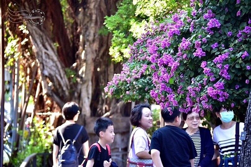 榕錦時光生活園區