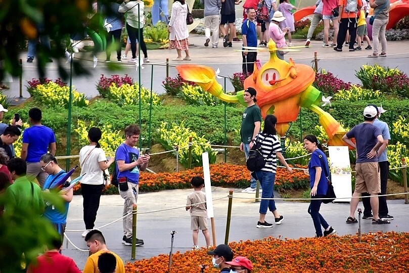 2024桃園彩色海芋季