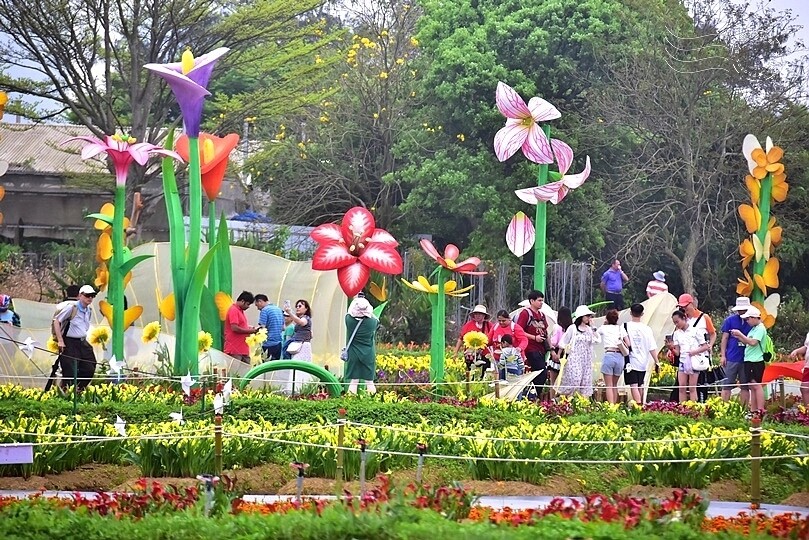 2024桃園彩色海芋季