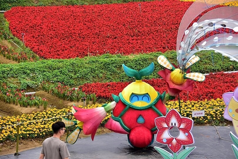 2024桃園彩色海芋季