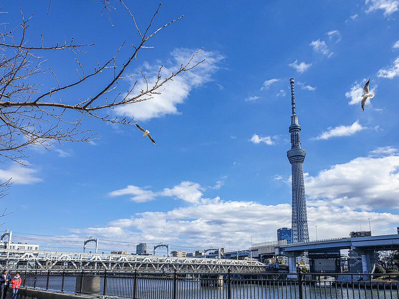 20240211_122151 20240211_122151