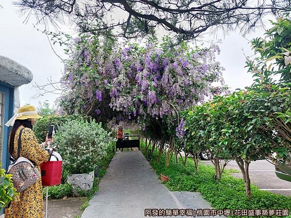 花田盛事築夢莊園11-許願藤廊道.jpg