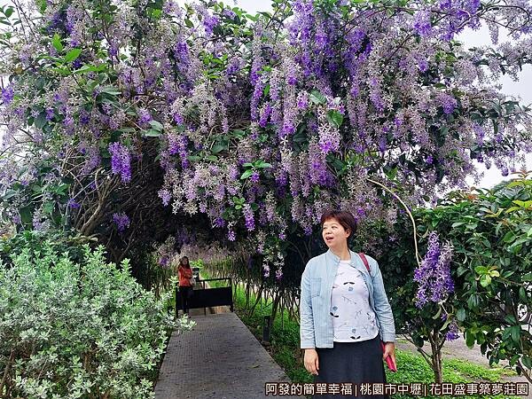 花田盛事築夢莊園12-許願藤廊道口留影.jpg