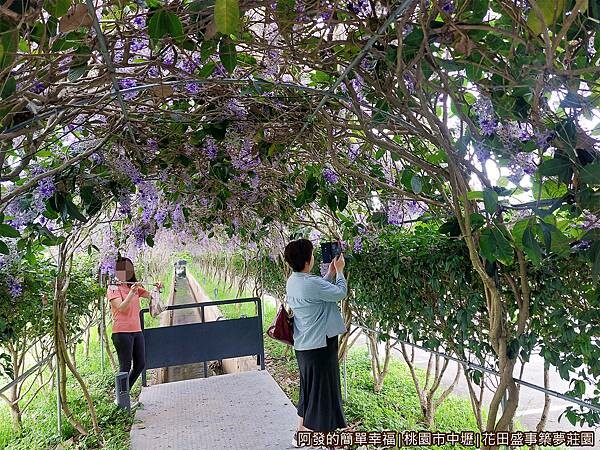 花田盛事築夢莊園14-許願藤廊道內.jpg