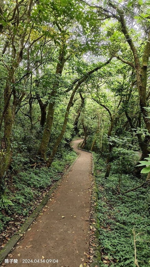 2024陽明山二子坪步道健行踏青趣🌼｜山園野菜美食館，地瓜湯