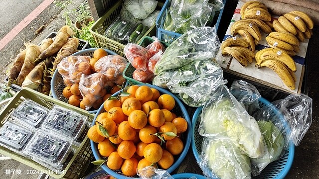 2024陽明山二子坪步道健行踏青趣🌼｜山園野菜美食館，地瓜湯