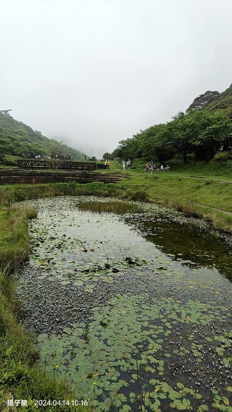 2024陽明山二子坪步道健行踏青趣🌼｜山園野菜美食館，地瓜湯