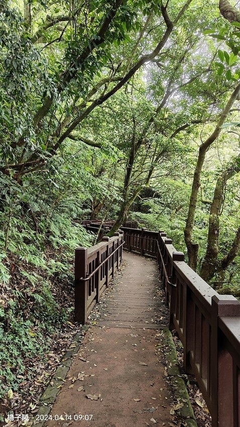 2024陽明山二子坪步道健行踏青趣🌼｜山園野菜美食館，地瓜湯