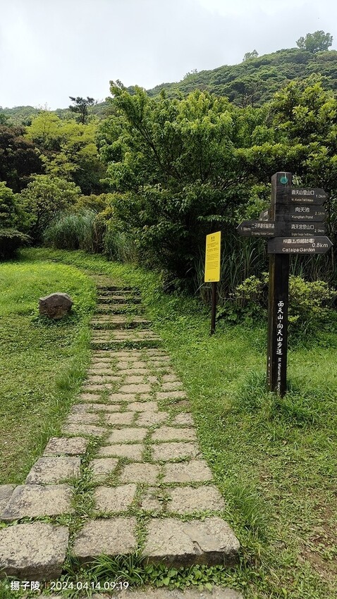 2024陽明山二子坪步道健行踏青趣🌼｜山園野菜美食館，地瓜湯