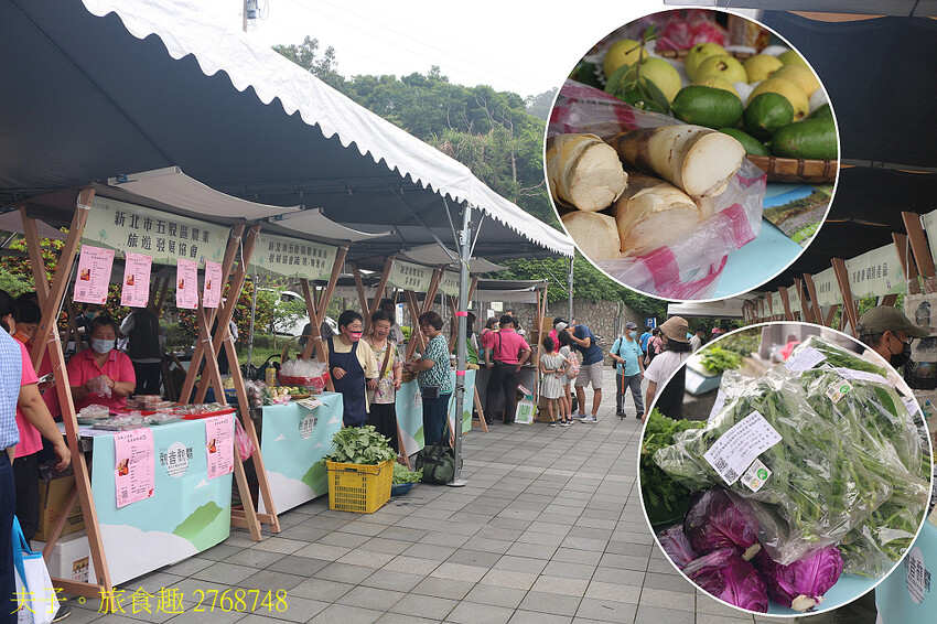 觀音觀鷹 樂活行腳 輕旅觀音山 鷹得精彩 感受觀音山自然之美