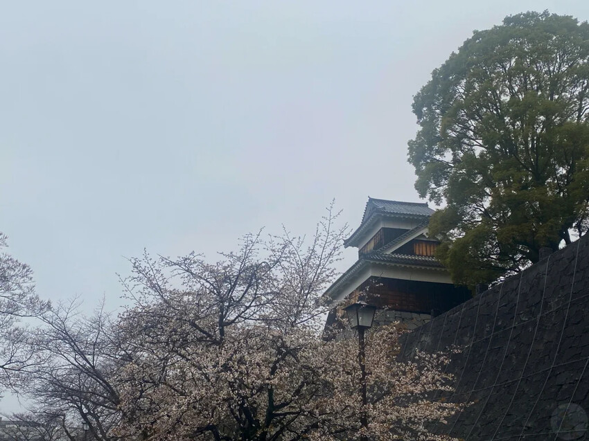 日本日本九州熊本福岡|五天四夜自由行,交通、景點、飯店推薦懶人包