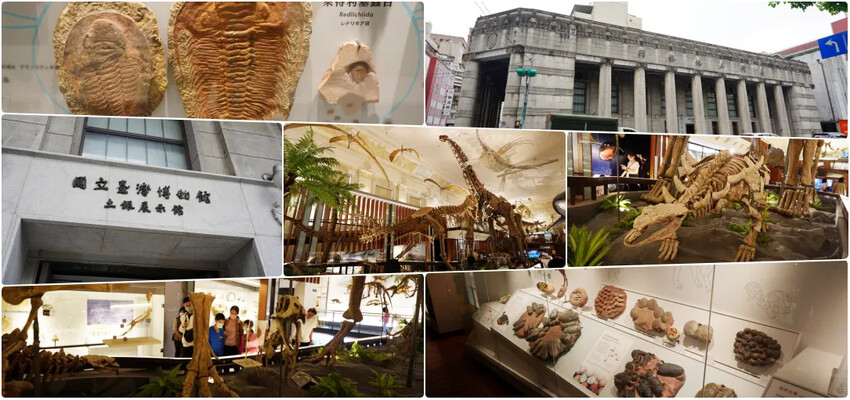 台北市中正區國立臺灣博物館古生物館|土地銀行古生物展,恐龍化石,大金庫任你拍