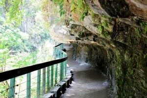 台北市中正區台鐵EMU3000｜黑白列車，新自強騰雲座艙初體驗，訂票懶人包