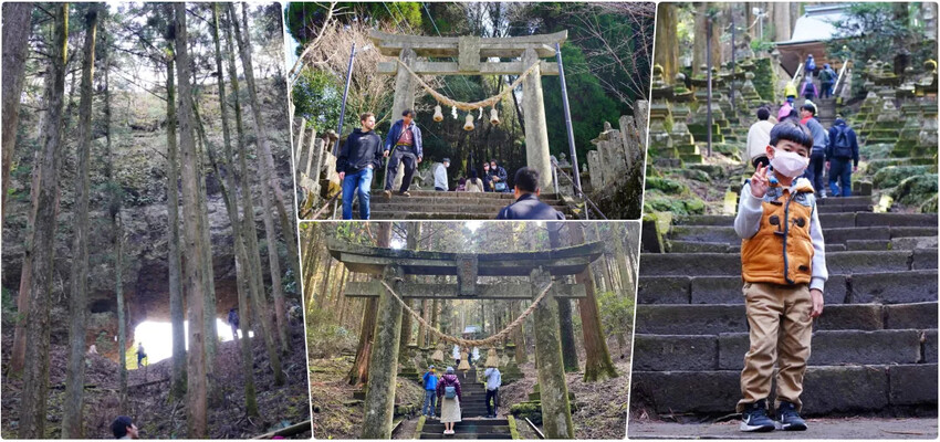 日本星宇航空直飛阿蘇熊本機場初體驗，每週飛航五班!!