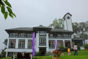 台北市中正區國立臺灣博物館古生物館|土地銀行古生物展,恐龍化石,大金庫任你拍