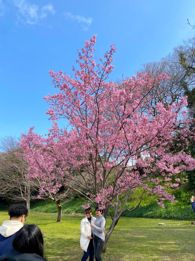 日本日本九州熊本福岡|五天四夜自由行,交通、景點、飯店推薦懶人包