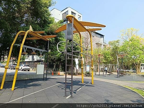 新北林口樂活公園／捷運主題公園綠帶賞黃金風鈴木