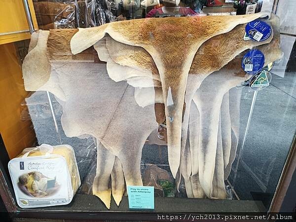 伯斯市中心商業街區／海伊林蔭道Hay Street Mall